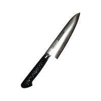 長谷川化学工業 ハセガワ 抗菌カラー庖丁 牛刀 MGK-18 18cm 黒 FC111LT-6606080