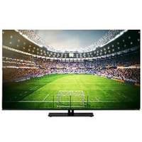 REGZA レグザ 4K有機ELテレビ 48V型 48X8900N (宅配サイズ商品