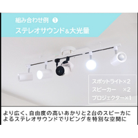 タキズミ TDR20063SS ダクトレール専用スピーカー Triot ホワイト