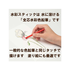 ぺんてる 水彩スティック アンティークミックス 12色 FC783PK-GSS1-12AN-イメージ3