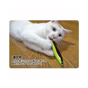 ドギーマンハヤシ じゃれ猫 発見！またたび魚 ブルー ｼﾞﾔﾚﾈｺﾊﾂｹﾝﾏﾀﾀﾋﾞｷﾞﾖｱｵ-イメージ2