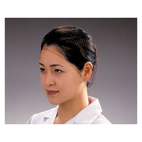 ダック ヘアーネットLサイズ(100枚入) FCA4476-T22664(T20664)