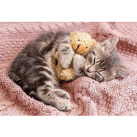 アップルワン ジグソーパズル 300ピース お昼寝にゃんこ 300-356 ｱﾂﾌﾟﾙ300356ｵﾋﾙﾈﾆﾔﾝｺ