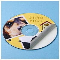 サンワサプライ インクジェットCDラベル 内径41mm 20ラベル入り LB-CDR003N