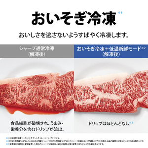 シャープ 455L 5ドア冷蔵庫 プラズマクラスター冷蔵庫 カームマットシルバー SJXW46PS-イメージ6
