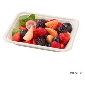 パックスタイル バガス容器 WB 15-12 50枚 FC211SH-00604001-イメージ6