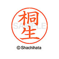 シヤチハタ ネームペン用ネーム シルバー 既製 桐生 FC46699-X-GPS-0928