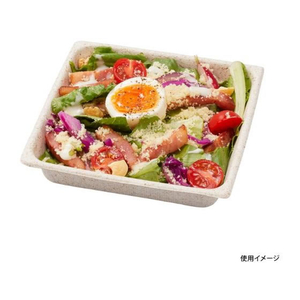 パックスタイル バガス容器 WB 14-14 50枚 FC212SH-00604002-イメージ7