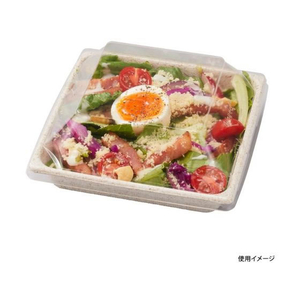 パックスタイル バガス容器 WB 14-14 50枚 FC212SH-00604002-イメージ8