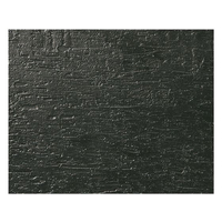 江部松商事 EBM/ブッフェウォーマー雅 1／2サイズ用 平長角皿 漆黒 FC008LC-1029970