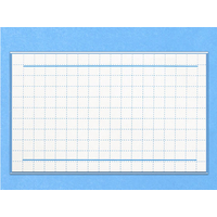 プラス 名刺型名札 両用金具式 FCD610P-CT-001