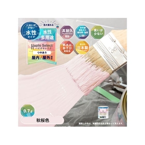 カンペハピオ ハピオセレクト 秋桜色 0.7L FCB526M-イメージ2