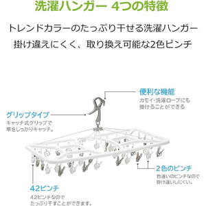 ストリックスデザイン WHITE LAUNDRY 角ハンガー ピンチ42P FCG884V-SB-093-イメージ4