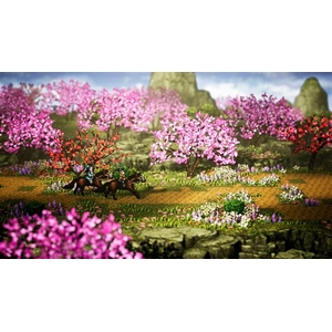 クラウディッドレパードエンタテインメント Wandering Sword ～逸剣風雲決～ 【Switch 】 HACPBUVGA-イメージ5