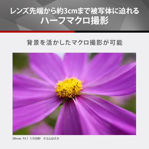 パナソニック デジタル一眼カメラ用交換レンズ LUMIX S-R28200-イメージ10