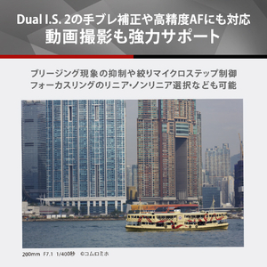 パナソニック デジタル一眼カメラ用交換レンズ LUMIX S-R28200-イメージ13