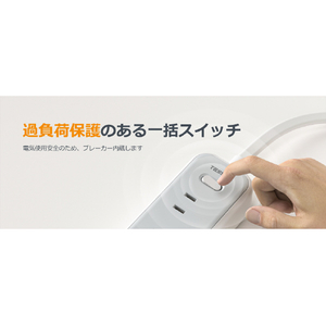 TESSAN コード式12ポート電源タップ PS02AJP-イメージ2