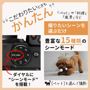 ニコン ミラーレスデジタル一眼カメラ Z5IIC Z シルバー Z5IICSL-イメージ13
