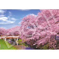 エポック社 ジグソーパズル 300ピース セントラル26-363S 新河岸川の桜-埼玉 EP26363Sｼﾝｶﾞｼｶﾞﾜﾉｻｸﾗ