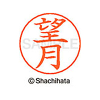 シヤチハタ ネームペン用ネーム シルバー 既製 望月 FC47691-X-GPS-1920