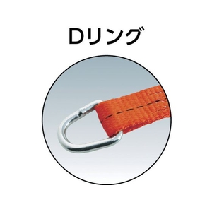 トラスコ中山 ベルト荷締機 25mm幅 200kg Dリングタイプ 0.24.50.35-Dリングタイプ FC961GX-7681313-イメージ2