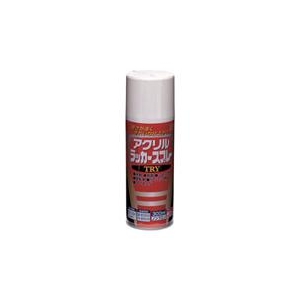 ニッペホームプロダクツ アクリルラッカースプレーTRY　300ml　透明クリヤー 222T005-300-イメージ1