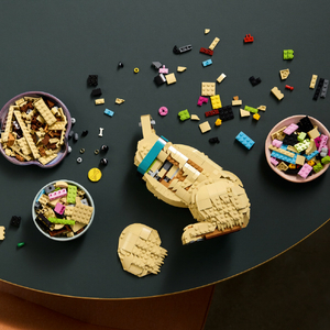 レゴジャパン LEGO Icons 11384ゴールデンレトリバーの子犬 11384ｺﾞ-ﾙﾃﾞﾝﾚﾄﾘﾊﾞ-ﾉｺｲﾇ-イメージ11