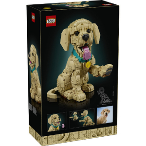 レゴジャパン LEGO Icons 11384ゴールデンレトリバーの子犬 11384ｺﾞ-ﾙﾃﾞﾝﾚﾄﾘﾊﾞ-ﾉｺｲﾇ-イメージ4
