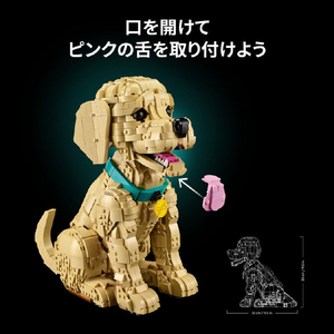 レゴジャパン LEGO Icons 11384ゴールデンレトリバーの子犬 11384ｺﾞ-ﾙﾃﾞﾝﾚﾄﾘﾊﾞ-ﾉｺｲﾇ-イメージ8
