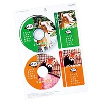 サンワサプライ インクジェットDVD/CDラベル 内径41mm 60ラベル入り LB-CDRJPN-30