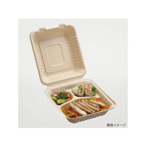 パックスタイル バガス容器 BBランチ 200-220-3 50枚 FC217SH-00605987-イメージ3