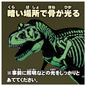 タカラトミー アニア ティラノサウルス (骨格標本Ver.) ｱﾆｱﾃｲﾗﾉｻｳﾙｽｺﾂｶｸﾋﾖｳﾎﾝVER-イメージ6