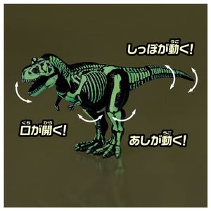 タカラトミー アニア ティラノサウルス (骨格標本Ver.) ｱﾆｱﾃｲﾗﾉｻｳﾙｽｺﾂｶｸﾋﾖｳﾎﾝVER-イメージ7