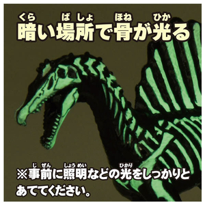 タカラトミー アニア スピノサウルス (骨格標本Ver.) ｱﾆｱｽﾋﾟﾉｻｳﾙｽｺﾂｶｸﾋﾖｳﾎﾝVER-イメージ6