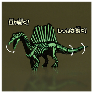 タカラトミー アニア スピノサウルス (骨格標本Ver.) ｱﾆｱｽﾋﾟﾉｻｳﾙｽｺﾂｶｸﾋﾖｳﾎﾝVER-イメージ7