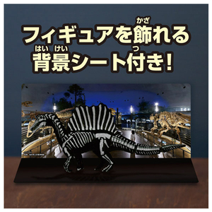 タカラトミー アニア スピノサウルス (骨格標本Ver.) ｱﾆｱｽﾋﾟﾉｻｳﾙｽｺﾂｶｸﾋﾖｳﾎﾝVER-イメージ8