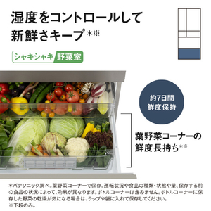 パナソニック 【フレンチドア】501L 6ドア冷凍冷蔵庫 ヘアラインシャンパン NR-F50HY3-N-イメージ12