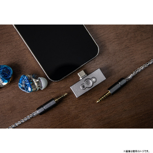 Kiwi Ears ポータブルアンプ Allegro Pro KWI028-イメージ11