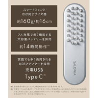 SALONIA SAL22206SL EMSリフトブラシ |エディオン公式通販