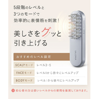 SALONIA SAL22206SL EMSリフトブラシ |エディオン公式通販
