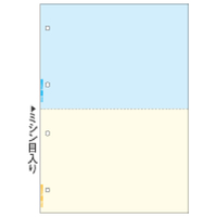 ヒサゴ FSC(R)認証 マルチプリンタ帳票 A4 カラー 2面 4穴 100枚入り FSC2011