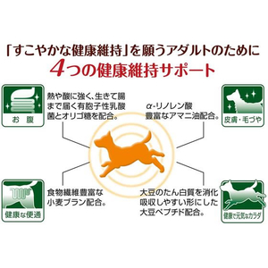 ペティオ more soft ホースアダルト 500g FCE997X-A14147-イメージ4