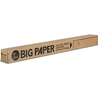 マルアイ 模造紙プルタイプ BIG PAPER 25mmドット罫 20枚 F872196D-21
