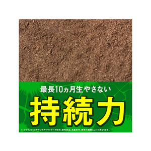 アース製薬 アースカマイラズ 草消滅 ジョウロヘッド 2L F324924-イメージ4