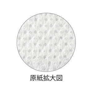 大黒工業 森林認証紙おしぼり 平 FS-2 100本 FCU1908-370129-イメージ2