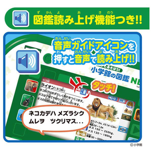 タカラトミー アニアとあそぼう!小学館の図鑑NEOPad ｱﾆｱﾄｱｿﾎﾞｳｽﾞｶﾝNEOPAD-イメージ6