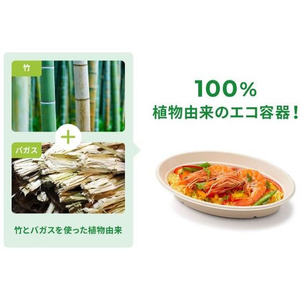 パックスタイル バガス容器 BBカレー 240-150 50枚 FC220SH-00606004-イメージ7