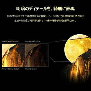 TCL 98V型4Kチューナー内蔵4K対応液晶テレビ 98X11L-イメージ16