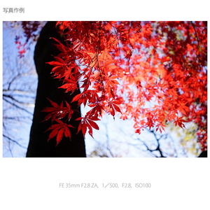 SONY デジタル一眼カメラ“α”[Eマウント]用レンズ SEL35F28Z-イメージ2