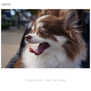 SONY デジタル一眼カメラ“α”[Eマウント]用レンズ SEL35F28Z-イメージ3